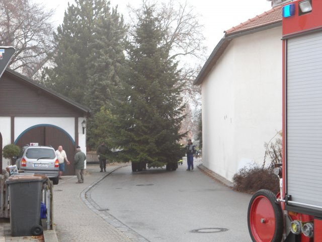Christbaum 2011